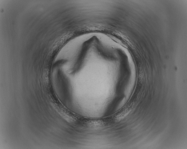 X0000074260402200609081741