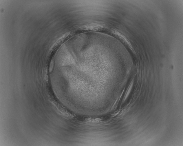 X0000074260403200609081741