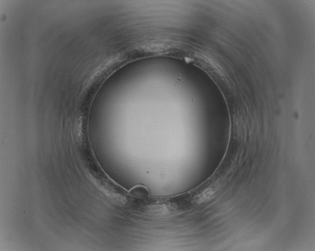 X0000074260404200609081741