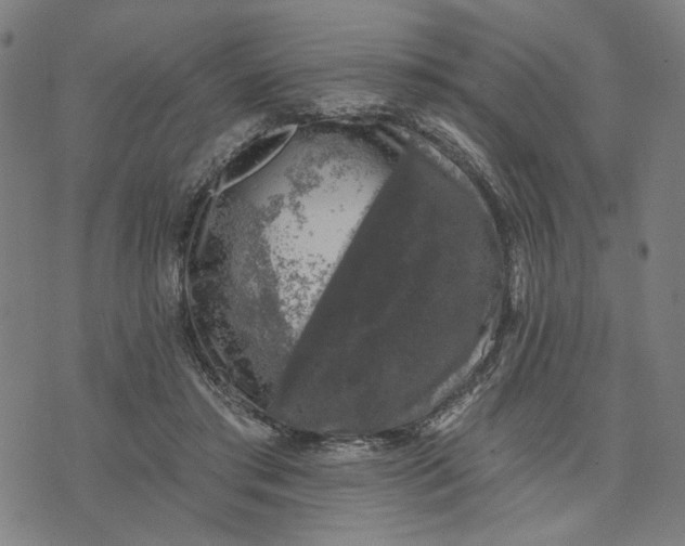 X0000074260405200609081741