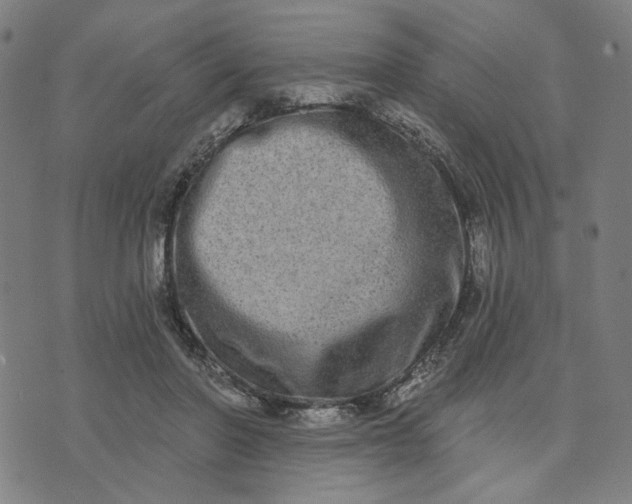 X0000074260406200609081741