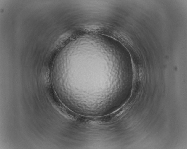 X0000074260408200609081741