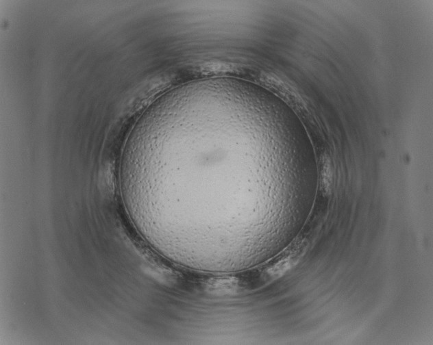 X0000074260410200609081741