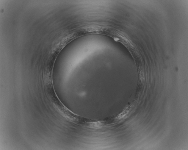 X0000074260411200609081741