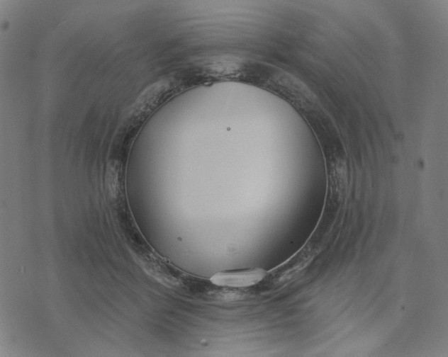 X0000074260412200609081741