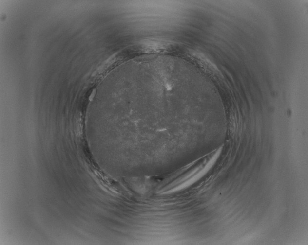 X0000074260413200609081741