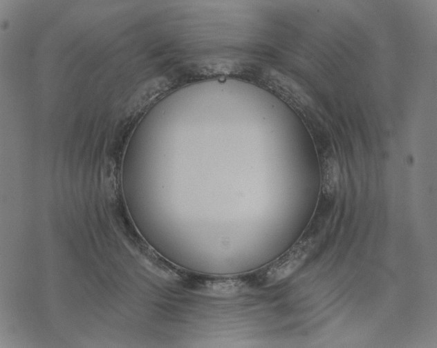 X0000074260414200609081741