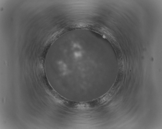 X0000074260415200609081741