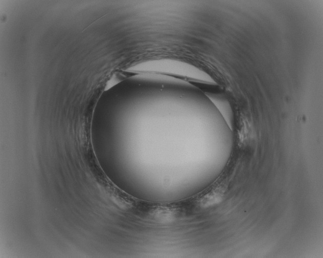 X0000074260416200609081741