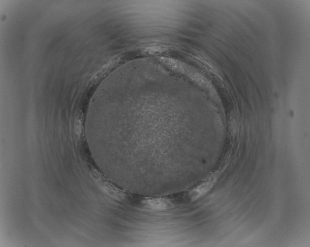 X0000074260417200609081741