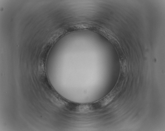 X0000074260418200609081741