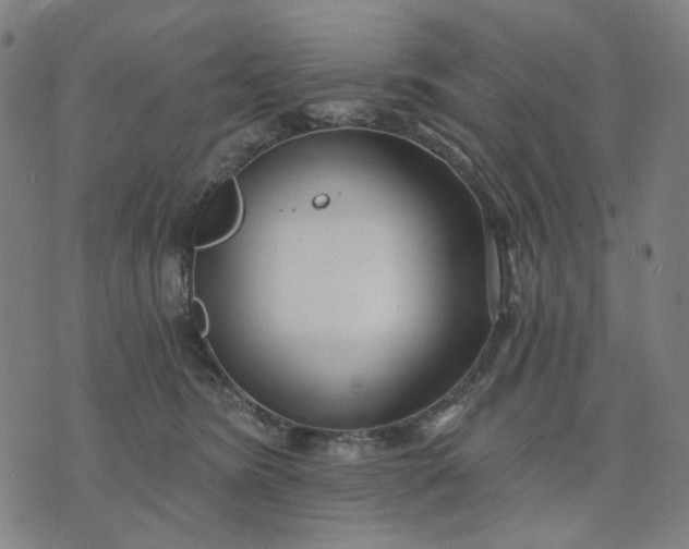 X0000074260420200609081741