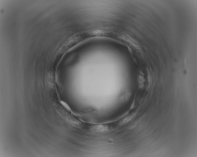 X0000074260421200609081741