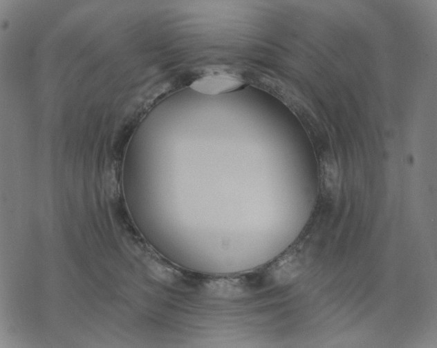 X0000074260422200609081741