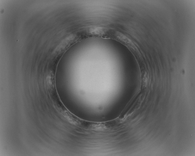 X0000074260424200609081741