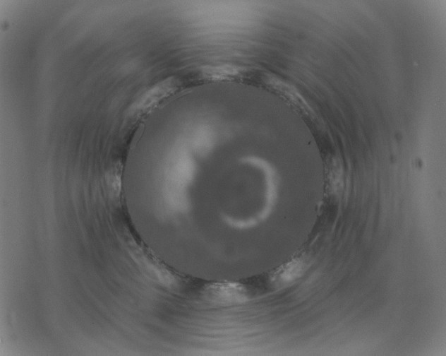 X0000074260427200609081741