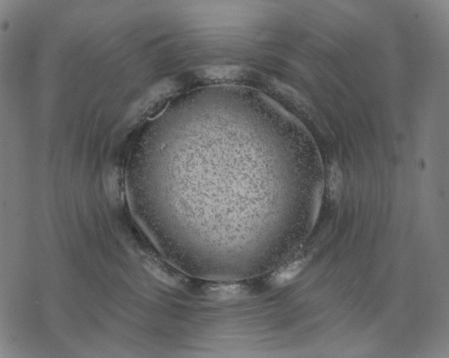 X0000074260428200609081741