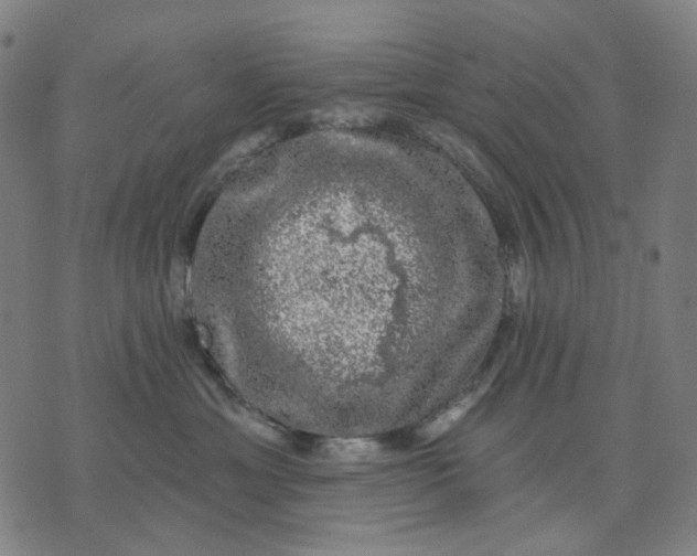 X0000074260429200609081741