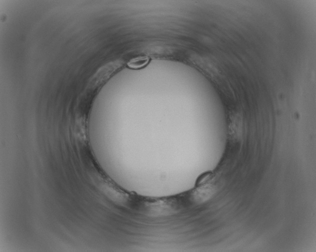 X0000074260430200609081741