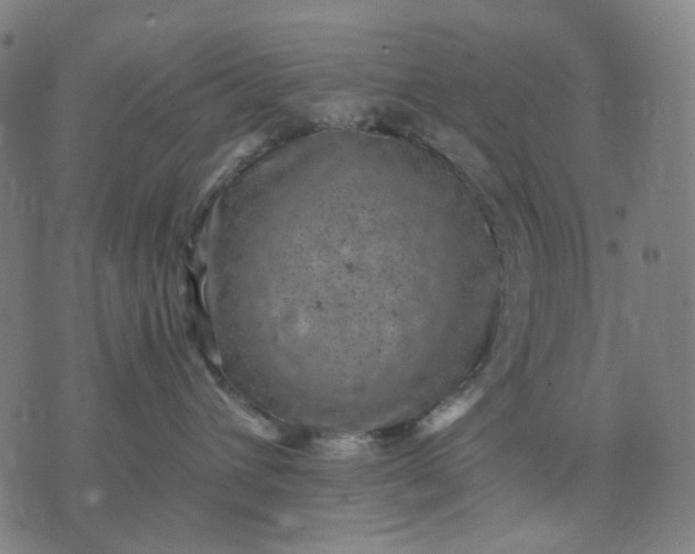 X0000074260432200609081741