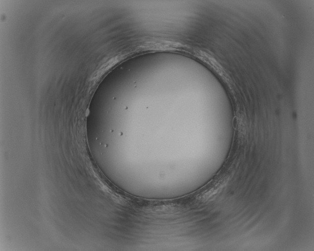 X0000074260433200609081740