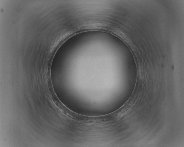 X0000074260434200609081740