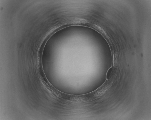 X0000074260435200609081740