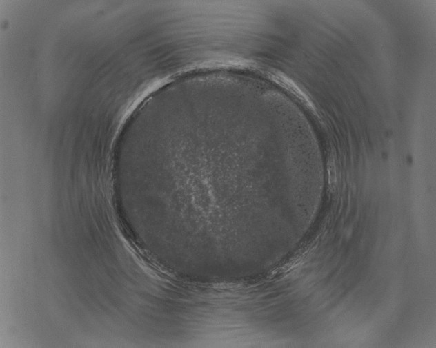 X0000074260436200609081740