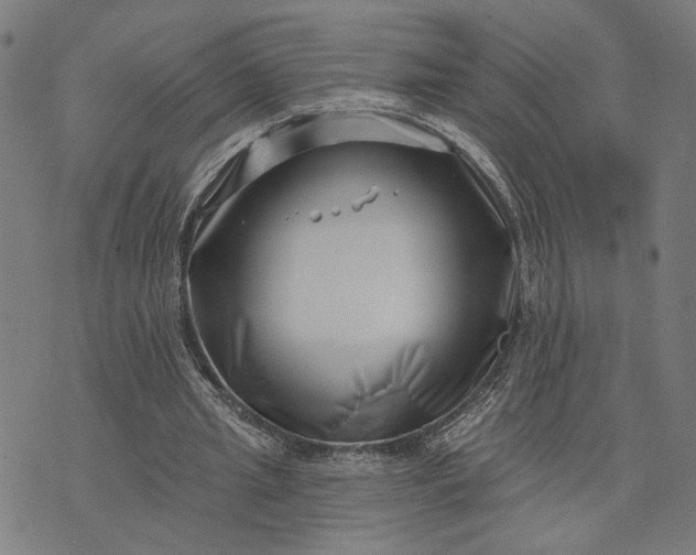 X0000074260437200609081740