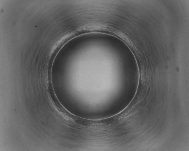 X0000074260438200609081740