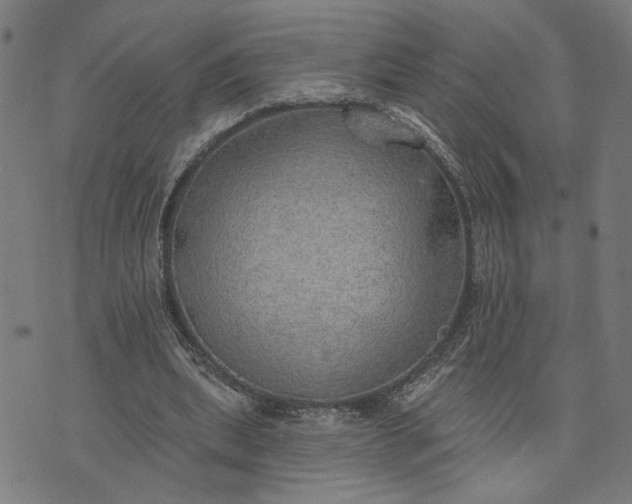 X0000074260439200609081740