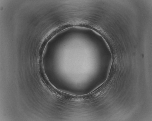 X0000074260440200609081740