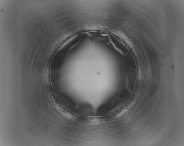 X0000074260441200609081740