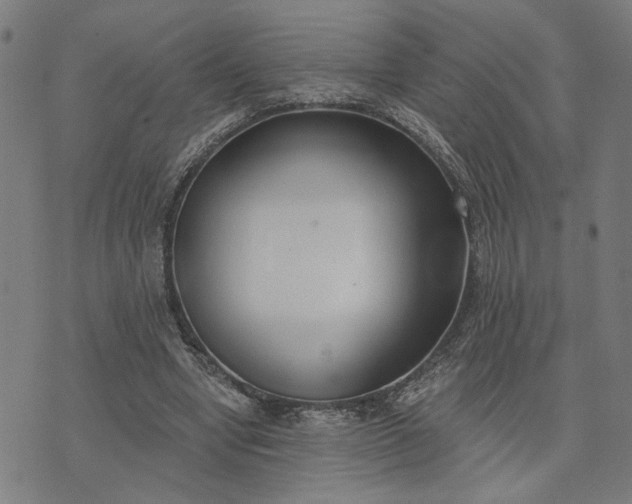 X0000074260442200609081740