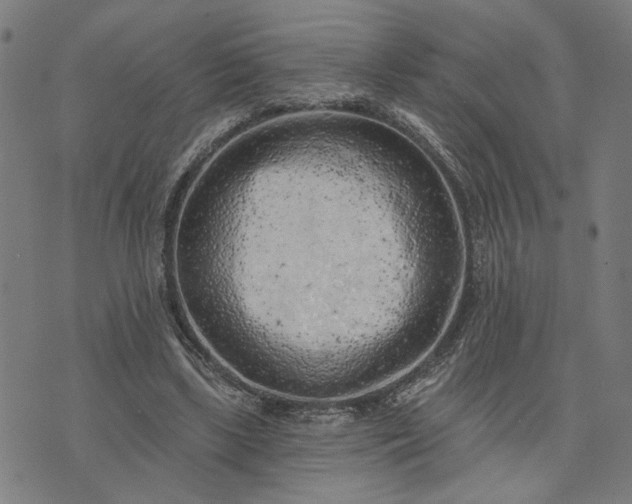 X0000074260443200609081740