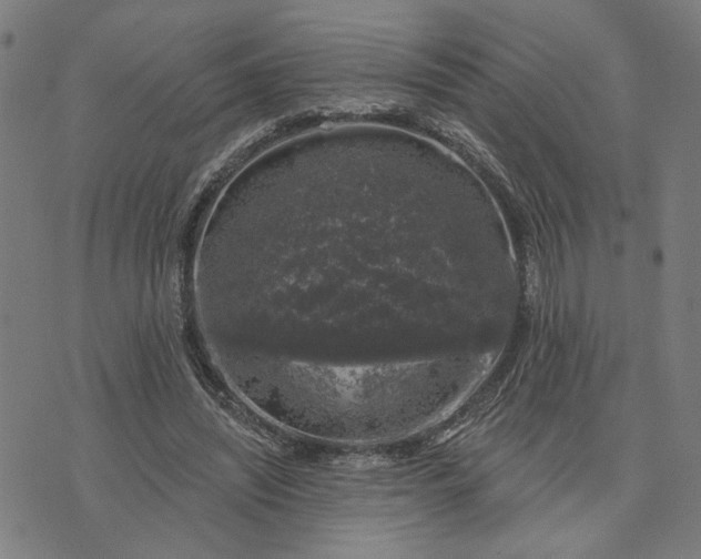 X0000074260444200609081740