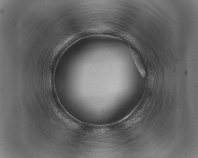 X0000074260446200609081740