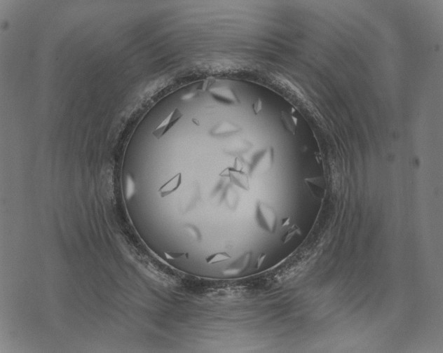 X0000074260447200609081740