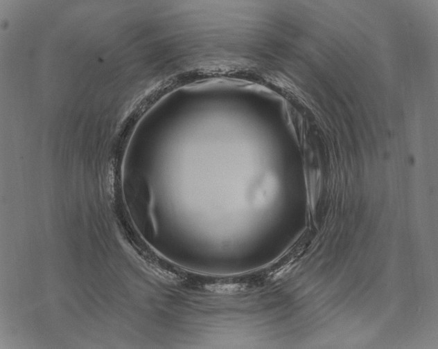 X0000074260448200609081740