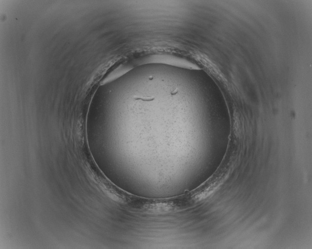 X0000074260449200609081740