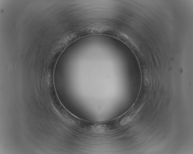 X0000074260451200609081740