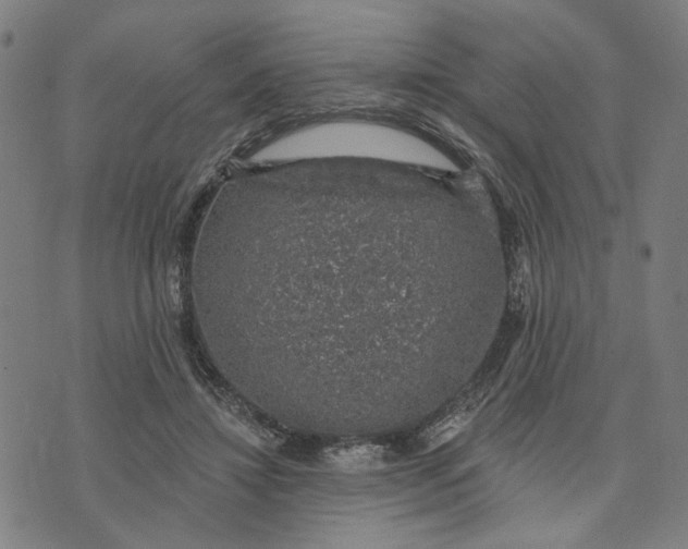 X0000074260452200609081740