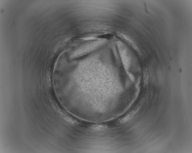 X0000074260453200609081740