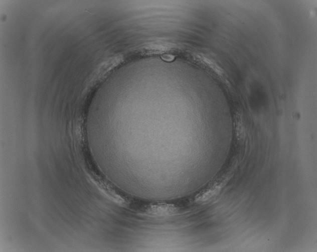 X0000074260455200609081740