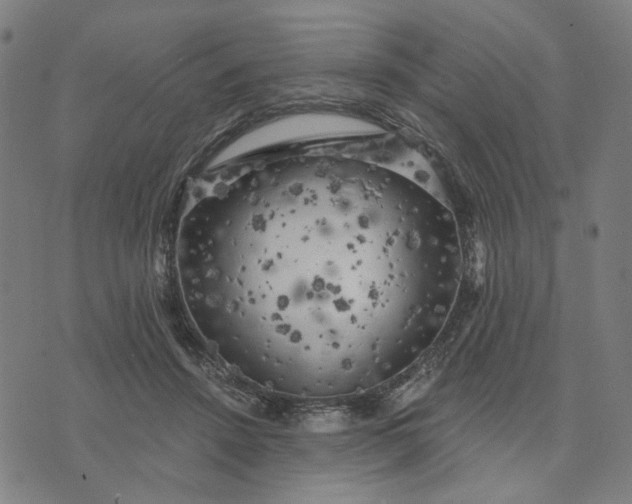 X0000074260456200609081740