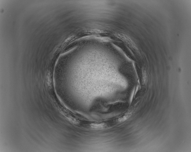 X0000074260457200609081740