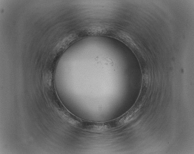 X0000074260458200609081740