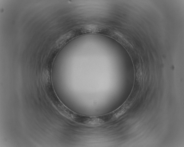 X0000074260459200609081740