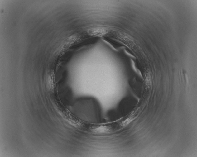 X0000074260460200609081740