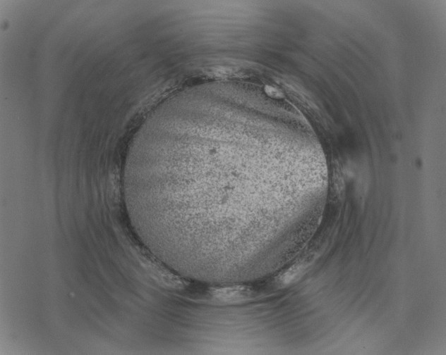 X0000074260461200609081740